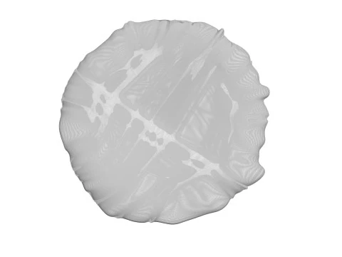 Margherita Pizza 3D Model