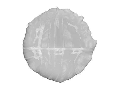 Margherita Pizza 3D Model