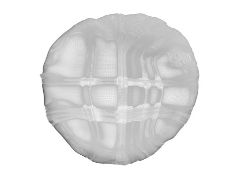 Margherita Pizza Modello 3D