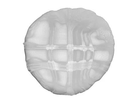 Margherita Pizza 3D Model