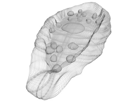 Pide Pita Model 3D