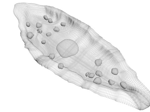Pide Pita Model 3D