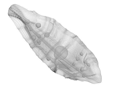 Pide Pita Model 3D