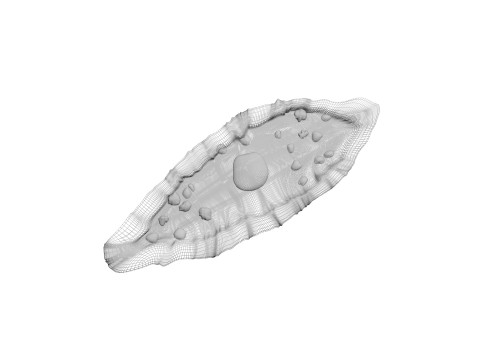 Pide Pita Model 3D