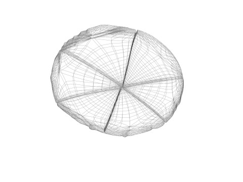 Georgian Megruli 3D Model