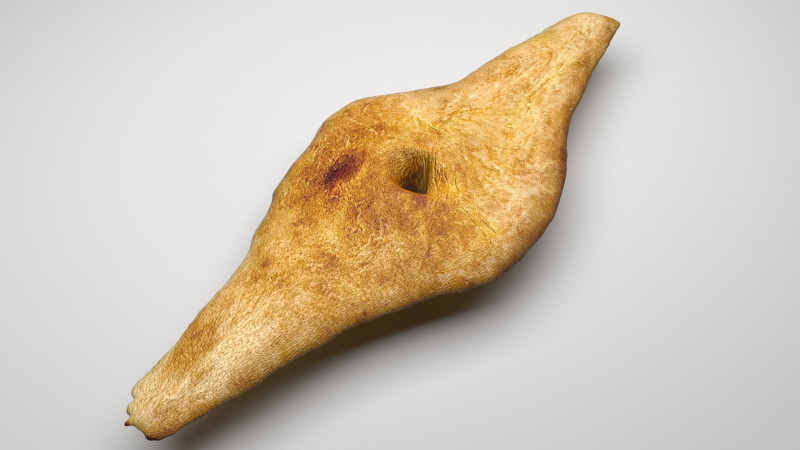Shoti Puri 3D 모델 .c4d .max .obj .3ds .fbx .stl .blend 