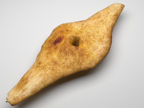 Shoti Puri 3D Модель