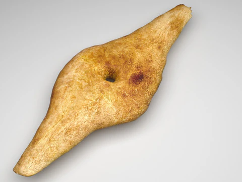 Shoti Puri 3D Model