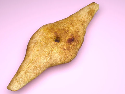 Shoti Puri 3D Model