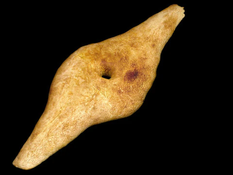 Shoti Puri 3D Model