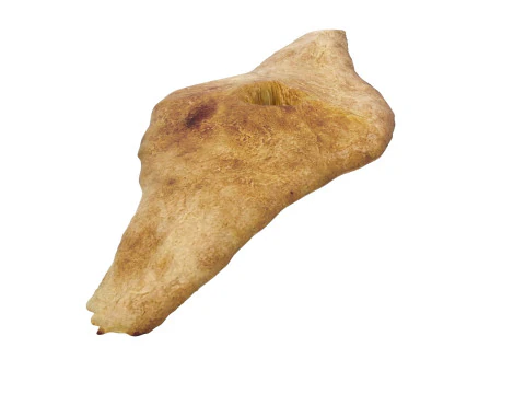 Shoti Puri 3D Model