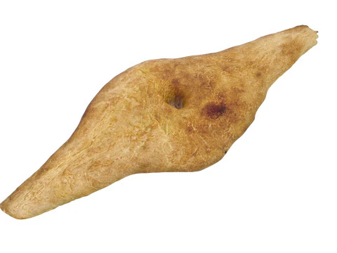 Shoti Puri 3D Model
