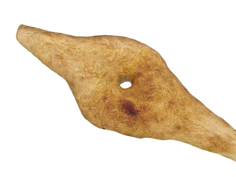 Shoti Puri 3D 모델