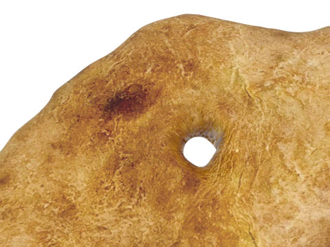 Shoti Puri 3D Model