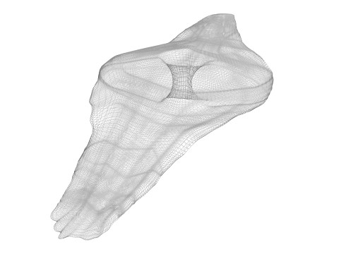Shoti Puri 3D 모델