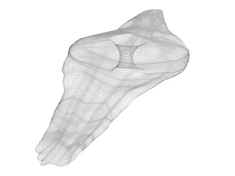 Shoti Puri 3D Model