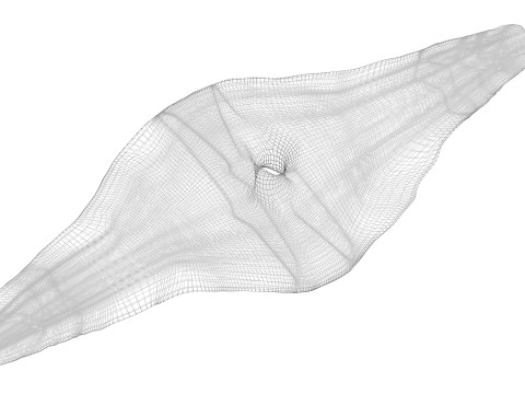 Shoti Puri 3D 모델