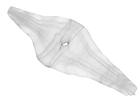 Shoti Puri 3D Model