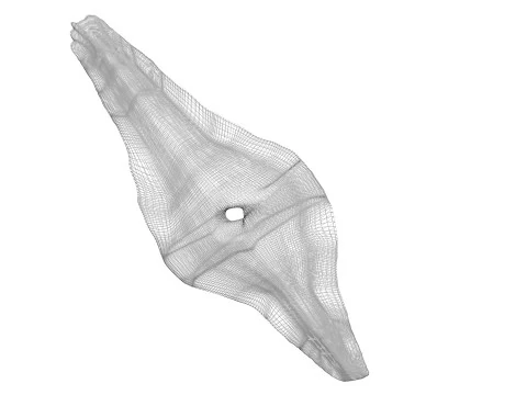 Shoti Puri 3D Model