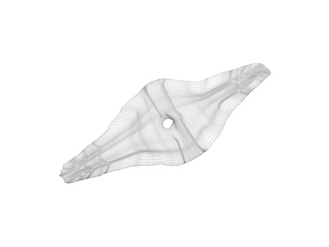 Shoti Puri 3D Model
