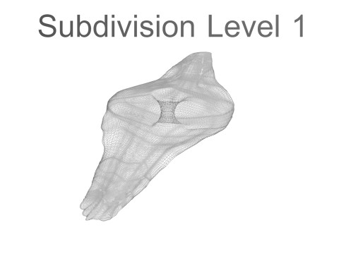 Shoti Puri 3D 모델
