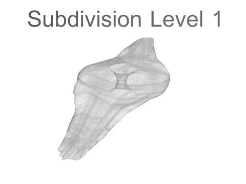 Shoti Puri 3D Model