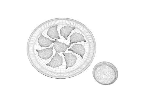 Dumplings With Sauce 3D Model