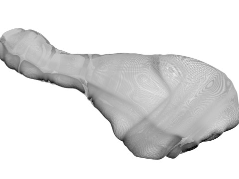 Chicken Drumsticks 3D Model