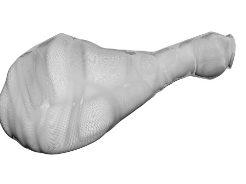 Chicken Drumsticks 3D Model