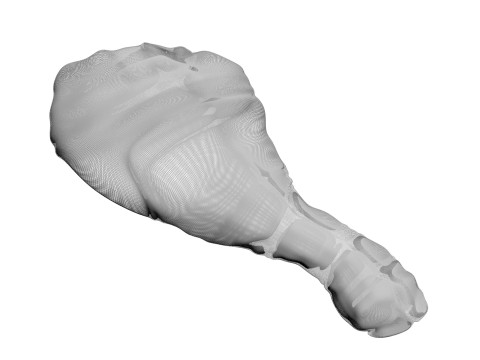 Chicken Drumsticks 3D Model