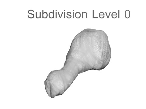 Chicken Drumsticks 3D Model