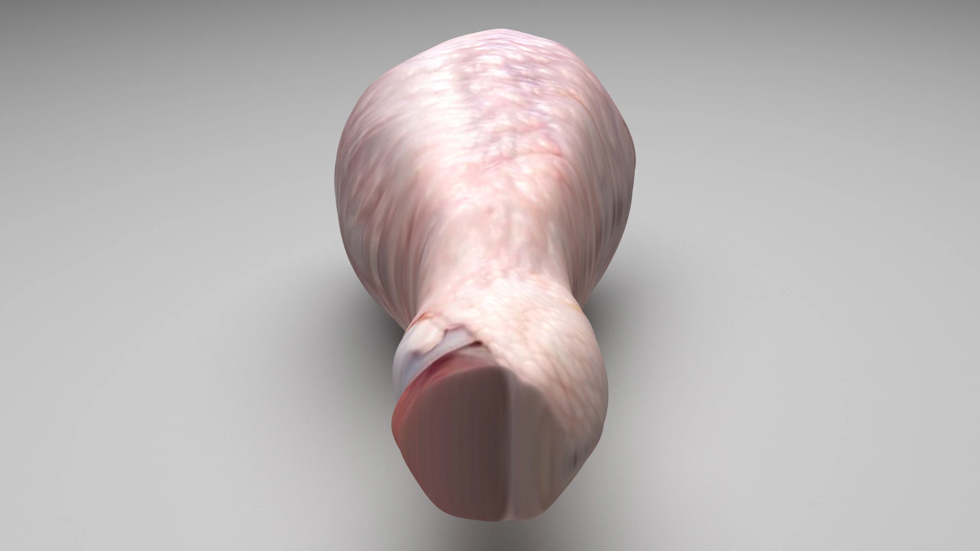 Muslo De Pollo Modelo 3D .c4d .max .obj .3ds .fbx .stl .blend 