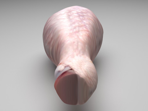Chicken Drumstick 3D 모델