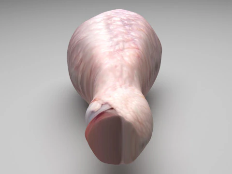 Coxinha de Frango Modelo 3D