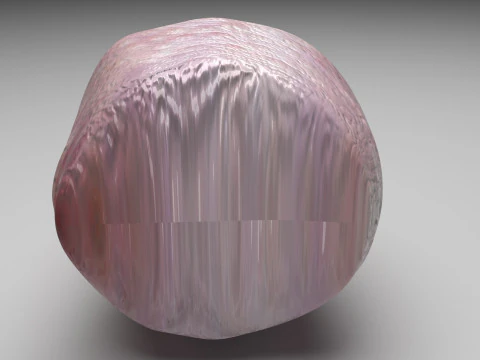 Muslo De Pollo Modelo 3D