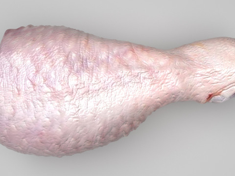 Chicken Drumstick 3D Model