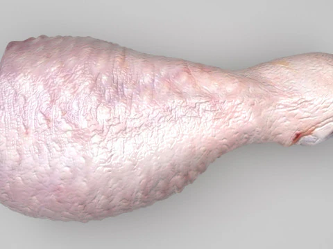 Muslo De Pollo Modelo 3D
