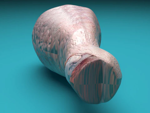 Muslo De Pollo Modelo 3D