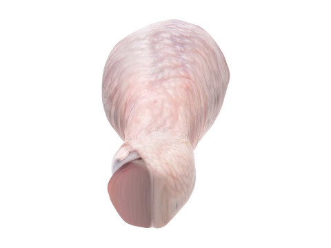 Chicken Drumstick 3D Model