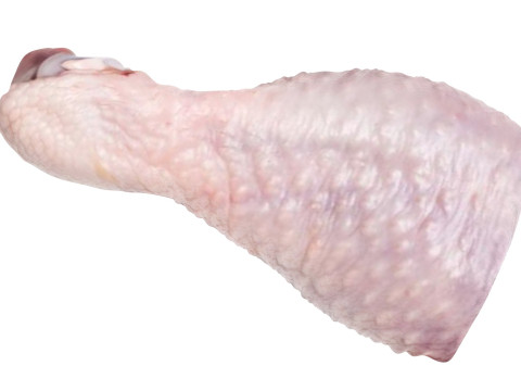 Chicken Drumstick 3D Model