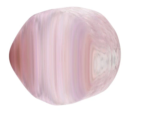 Muslo De Pollo Modelo 3D