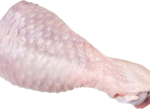 Chicken Drumstick 3D Model