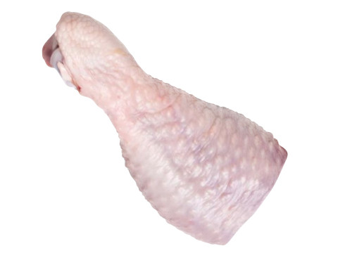 Chicken Drumstick 3D Model