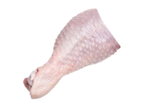 Chicken Drumstick 3D Model