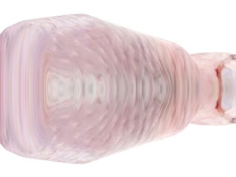 Chicken Drumstick 3D Model