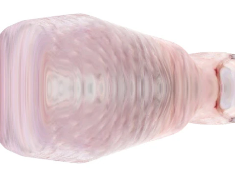 Muslo De Pollo Modelo 3D