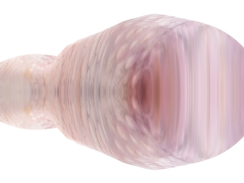 Chicken Drumstick 3D Model