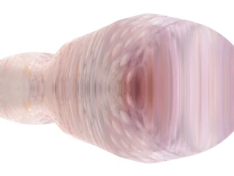 Muslo De Pollo Modelo 3D