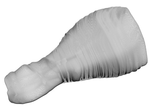 Chicken Drumstick 3D Model