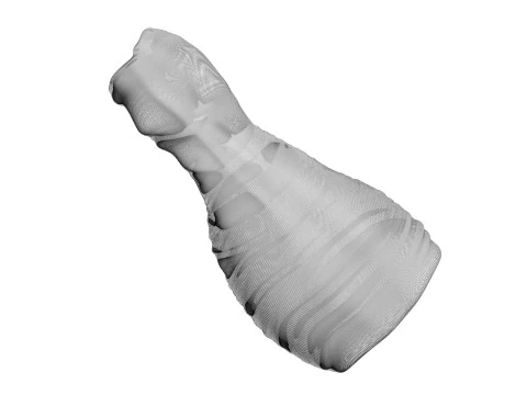 Muslo De Pollo Modelo 3D